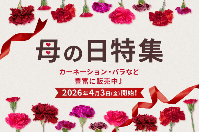 【母の日花材販売開始！】カーネーション・バラなど人気花材を小ロットから仕入れ可能｜花の卸通販フラワースミスマーケット