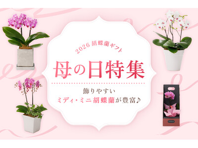 【2026母の日ギフト】飾りやすいミディ・ミニ胡蝶蘭を豊富に販売！｜胡蝶蘭専門サイトフラワースミスギフト