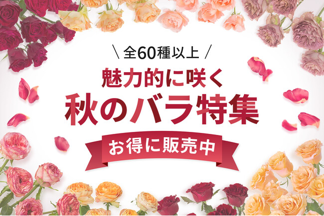 お得な7日間】人気のからあげ定食4品が160円引き！からやま「夏の感謝