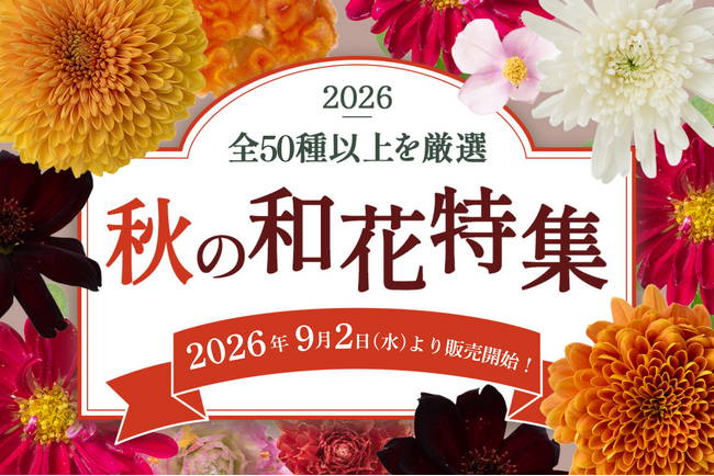 秋の和花が9月2日～販売開始！メインからサブまで全50種以上｜花の卸通販フラワースミスマーケット
