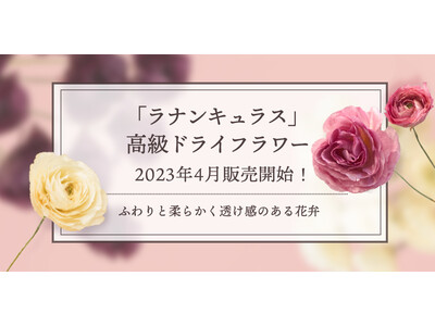 新商品「ラナンキュラス」の高級ドライフラワー販売開始！｜花の卸通販フラワースミスマーケット