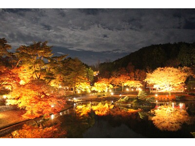 【伊豆の紅葉】修善寺虹の郷、夜空を彩る『もみじライトアップ』＆『秋の打ち上げ花火』を開催　11月11日(土)から