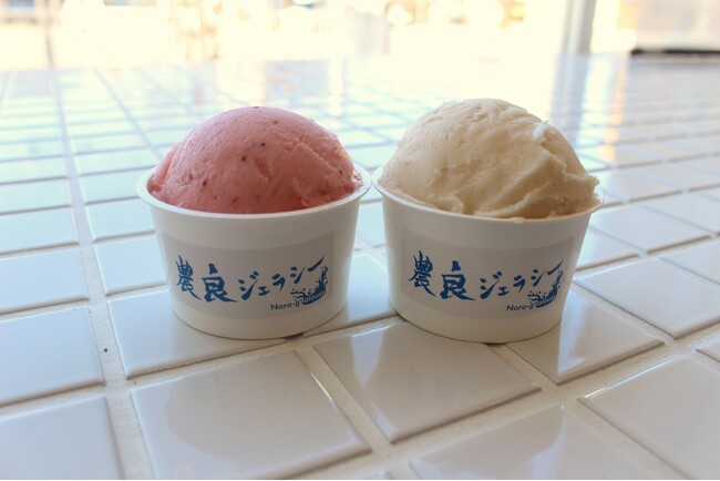 酪農の課題を「おいしい」で解決ーホエイを廃棄せず「フルーツジェラート」で活用【山梨県】