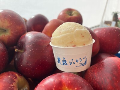 山梨の産地“津金りんご”を使ったジェラート冬季限定発売