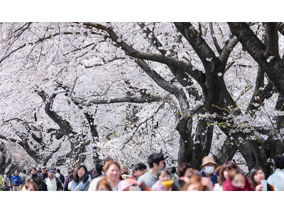 おおがわら桜まつり実行委員会・タイムズ２４、宮城県大河原町「おおがわら桜まつり」の特設駐車場運営に「タイ...