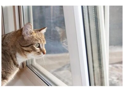 2��22���͔L�̓��@�A�C�`���[�U�[�A�y�b�g�Ɋւ����g�[�̗��p���Ԃƈӎ��𒲍�