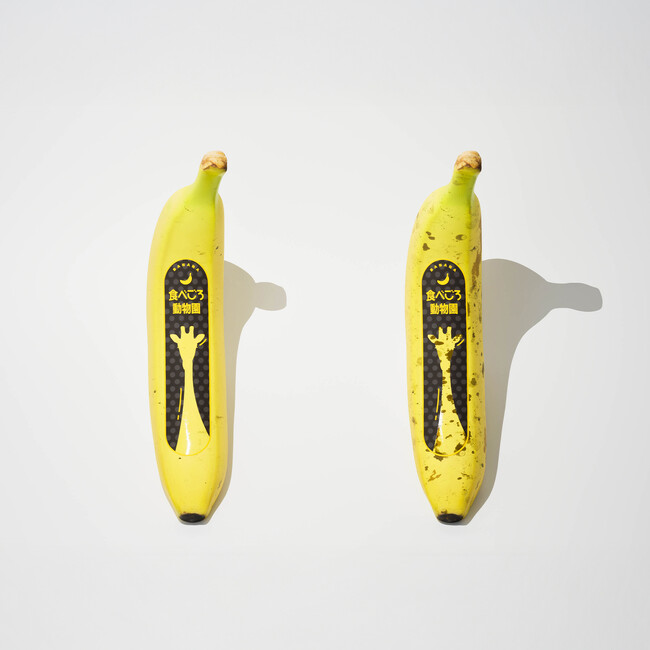 【日本パッケージデザイン学生賞2025】大賞決定!