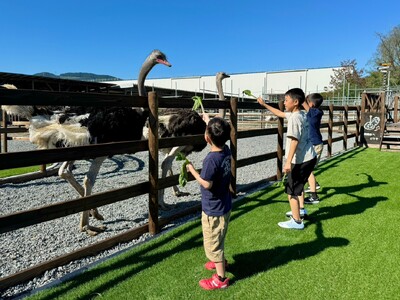 新しい体験を! 美里オーストリッチファーム 「ふれあいエリアのリニューアル」と「Ostrich Muse...