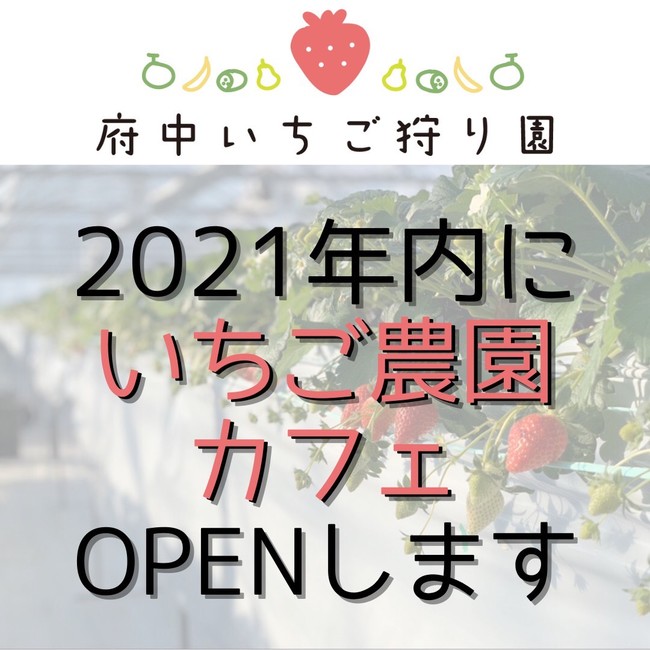 東京いちご狩り農家が併設のいちごカフェOPEN&採れたてのいちごを使用したスイーツを提供