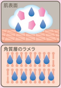 お風呂から出た後もうるつや肌続く！肌本来のうるおいを守って洗うLamellance（ラメランス） ボディウォッシュをウエルシア限定で発売