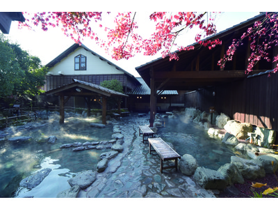 埼玉県の「美人の湯」おがわ温泉 花和楽の湯で食事と宿泊が楽しめる新プラン登場！