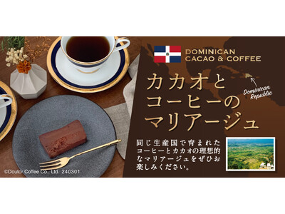 ドミニカ共和国産のカカオ豆を使った「コーヒーとよく合う濃厚ショコラテリーヌ」　ドトール オンラインショッ...