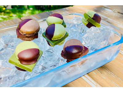 【#わたしの推しマカロン】8月1日よりSNSで話題の生チョコマカロン「MAMEIL NAMA CHOCOLATE MACARON」と夏を楽しむSNSイベント＜MAMEIL for SUMMER＞を開催