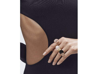 【DIOR FINE JEWELLERY】「ローズ デ ヴァン」10周年 アイコンを巡る壮大な旅