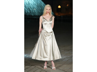 【Dior】"LE GRAND DINER DU LOUVRE" でディオールを着用したセレブリティ