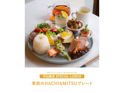 【HACHI&MITSU】日々に彩りとご褒美を。旬の野菜をはちみつで彩る新ランチ「季節のHACHI&MITSUプレート」が登場！
