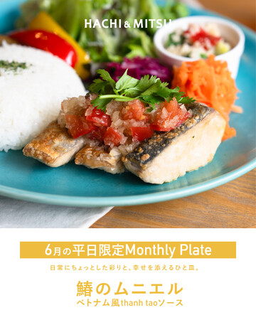 駿府の工房 匠宿内のカフェHACHI & MITSUで6/3(火)から6月のマンスリープレートスタート。鰆×thanh taoソースでさっぱり初夏プレート。【駿府の工房 匠宿】