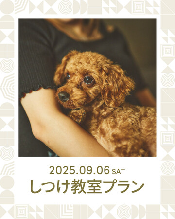 9月6日限定！ホテルデビューしつけ教室プラン【株式会社 創造舎】