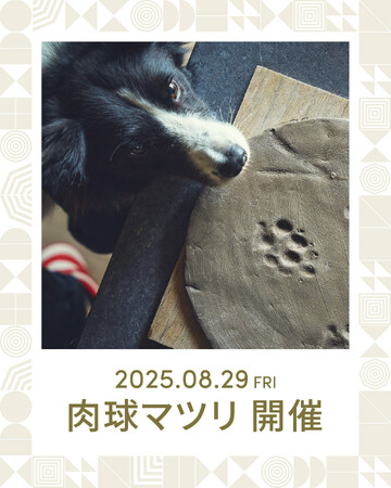 愛犬と涼しく楽しむ夏！1HOTELにて肉球マツリ開催【株式会社 創造舎】