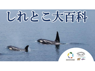 【知床の日って？世界自然遺産登録20年！？】知床の20年を知れる「しれとこ大百科」開催！