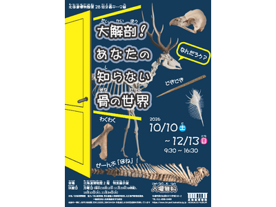 北海道博物館 第28回企画テーマ展「大解剖！あなたの知らない骨の世界」：2026年10月10日（土）～2026年12月13日（日）開催