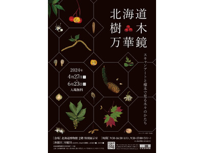 北海道博物館第22回企画テーマ展「北海道樹木万華鏡　―スキャンアートと標本で見る木々のかたち―」：2024年4月27日（土）～6月23日（日）開催