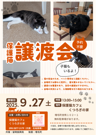 【２０２５年９月２７日（土）開催】「保護猫譲渡会（増毛町：保護猫カフェくつろぎの家）」を開催します。