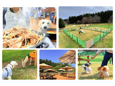 【愛犬家のみなさまに朗報！ワンちゃんとのお出かけは、千本松牧場へ】プライベートドッグランやテラス席での美...