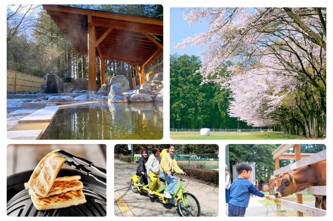 【那須千本松牧場で春を満喫】桜のトンネル、露天風呂、新商品も！見逃せない春の楽しみ5選