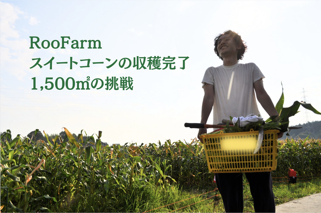 屋上農園のパイオニアRooFarm、広島1500平方メートル で“農業の再発明”に挑戦─地方農業“転換点”に都市発テクノロジーが挑む