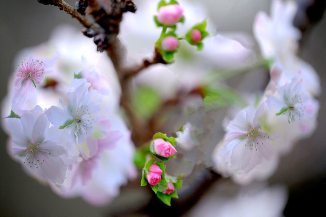 Io炸IIBn߂ƖɁBvuJnʐ^E싳vwOK