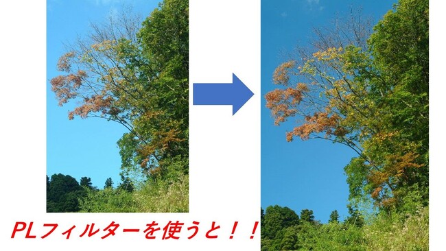 yZ~i[JÁIz1030ijPR[EgLi[65NLO@chtB^[Z~i[ij