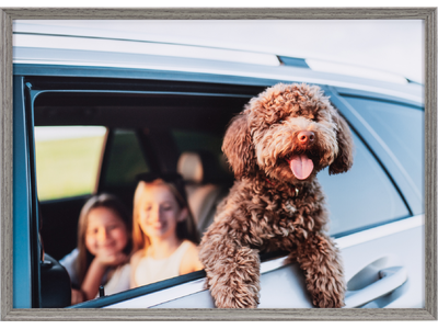 人気のミュートカラーを採用した木目調アルミフレーム「アミネオ・グランデ」