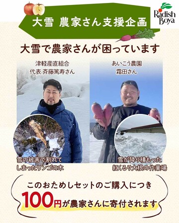 【らでぃっしゅぼーや】雪害に遭う青森・長野の青果を“食べて支援”　りんご・紅くるり大根入り「ふぞろい食材おためしセット」を販売へ（2/16～）