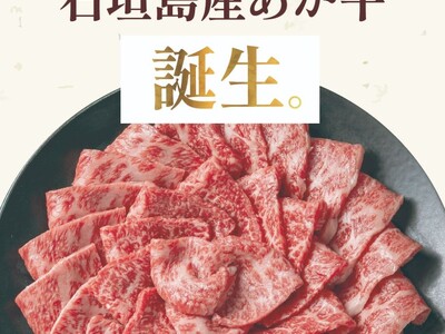 一年中放牧が可能な石垣島の環境を活かし、あか牛の放牧飼育に挑戦