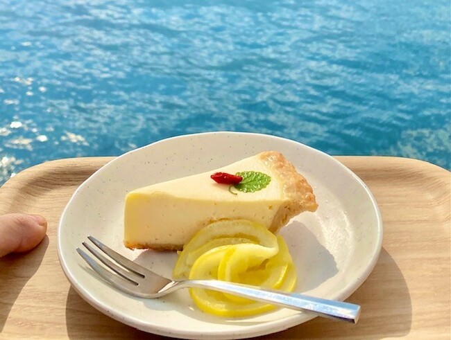 高松の人気チーズケーキ×香川県仁尾町の“さぬきレモン”。瀬戸内の新スイーツ『さぬき氷檸チーズケーキ』新発売