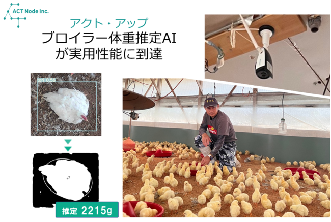 『養鶏ブロイラーの体重推定ＡＩ』が実用性能を達成　計測誤差３％以下を実現