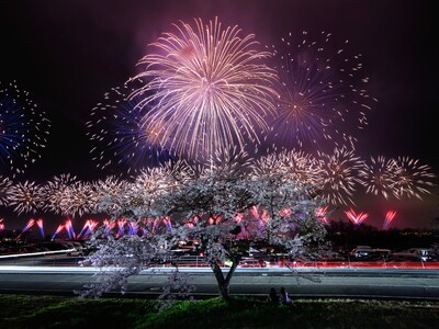 桜の季節のサーキットを、奇跡の大輪・2尺玉花火が彩る「富士山花火vsスピードウェイ2026」チケット販売開始 花火やモータースポーツを満喫できる多彩な観覧スタイル