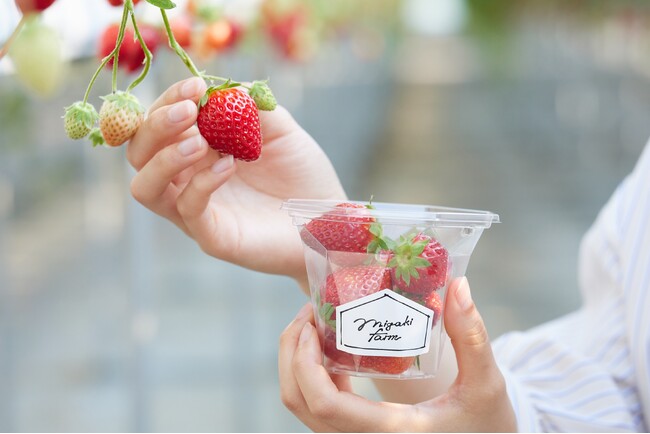 d9020-30-8c9197bdc44e760c4470-