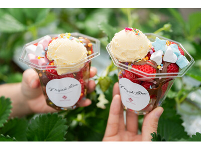 ＜MIGAKI FARM＞4～5月のハウスを涼しく楽しむ！いちご狩りプレミアムプランに、摘みたていちごを...