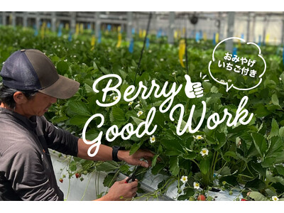 ＜ミガキファーム＞いちご農家の裏側に潜入する農業体験ワークショップ『Berry Good Work』を6...