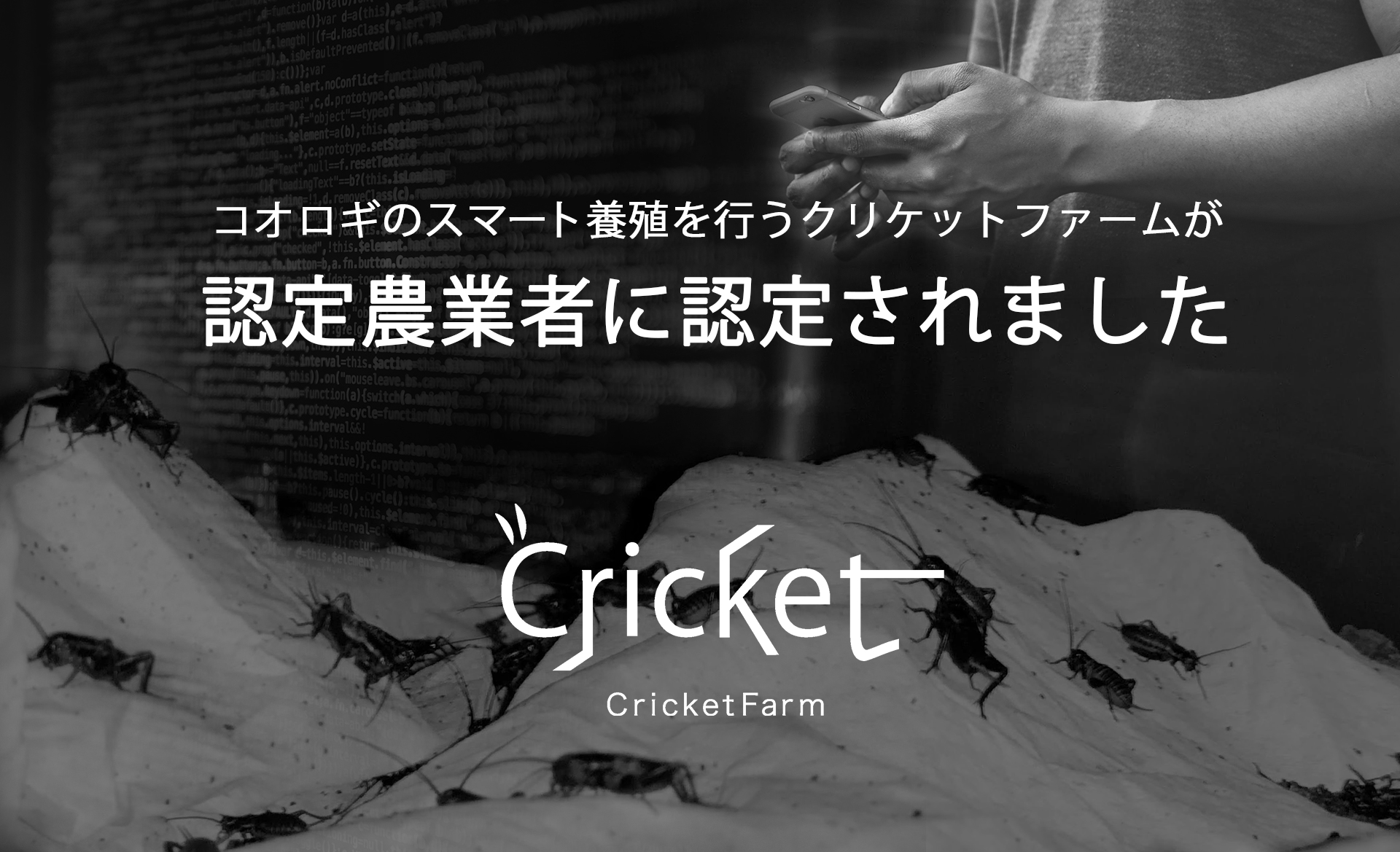 コオロギ養殖のクリケットファームが、長野県茅野市から認定農業者として認定されました