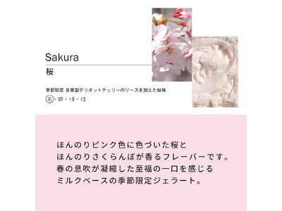 ジェラート専門店「GELATERIA solege」お花見フレーバー2024年3月20日(水)から販売