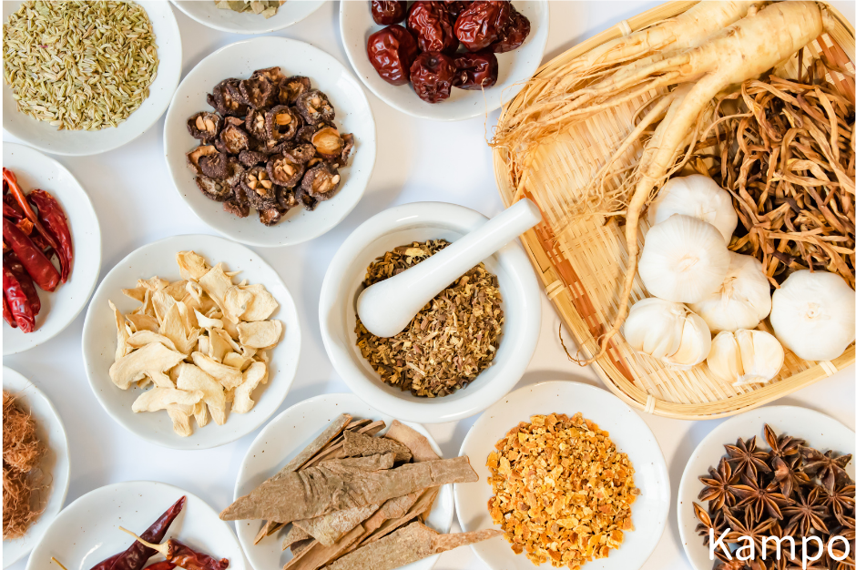 世界中の人に漢方の良さを伝える。『漢方カウンセリング がじゅまる』の大きな夢