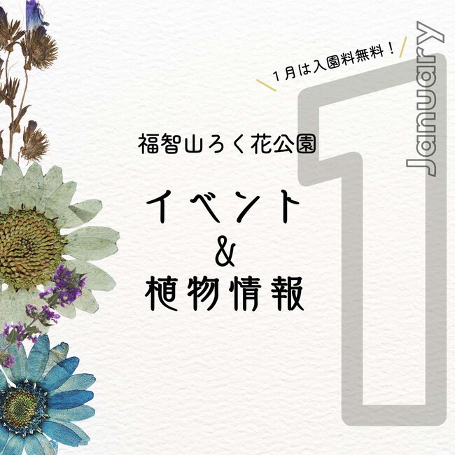 福智山ろく花公園 1月は入園料無料