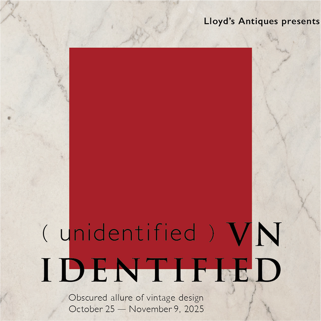 VNIDENTIFIED (unidentified) 開催のおしらせ
