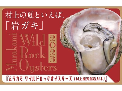 新潟県村上の海が育む夏の妙味！ 天然岩ガキを楽しむイベント「ムラカミ ワイルドロックオイスターズ」を実施