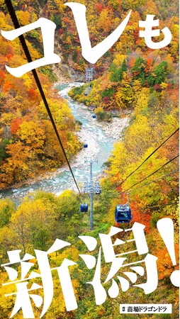 新潟・越後湯沢エリアと弥彦エリアの絶景と体験を首都圏で！JR東日本、駅サイネージで観光PRを実施します