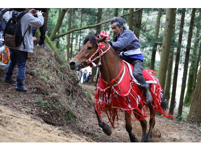 伝統の復活「シャングシャング馬」2026、第二章へ ― 春の鼓動を未来へ。黒川中学校の語り部がつなぐ、新潟県胎内市下赤谷の物語 ―