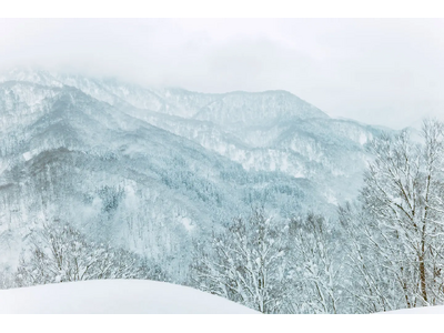 �y�Q���ҕ�W�z�s�z��ȗL�̓~ 2026�t�A�P���}�V���|�W�E���u�s�s�ƎR�A���ɐ�������@���l����v